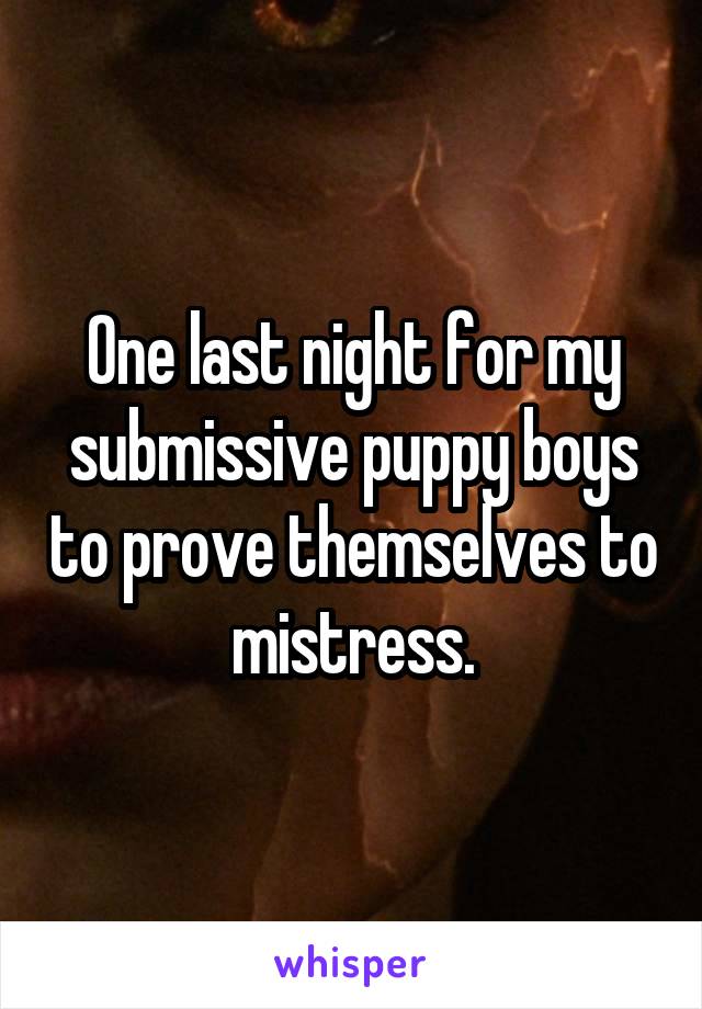 One last night for my submissive puppy boys to prove themselves to mistress.