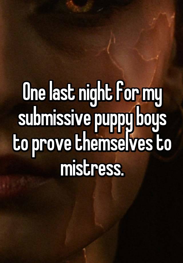 One last night for my submissive puppy boys to prove themselves to mistress.