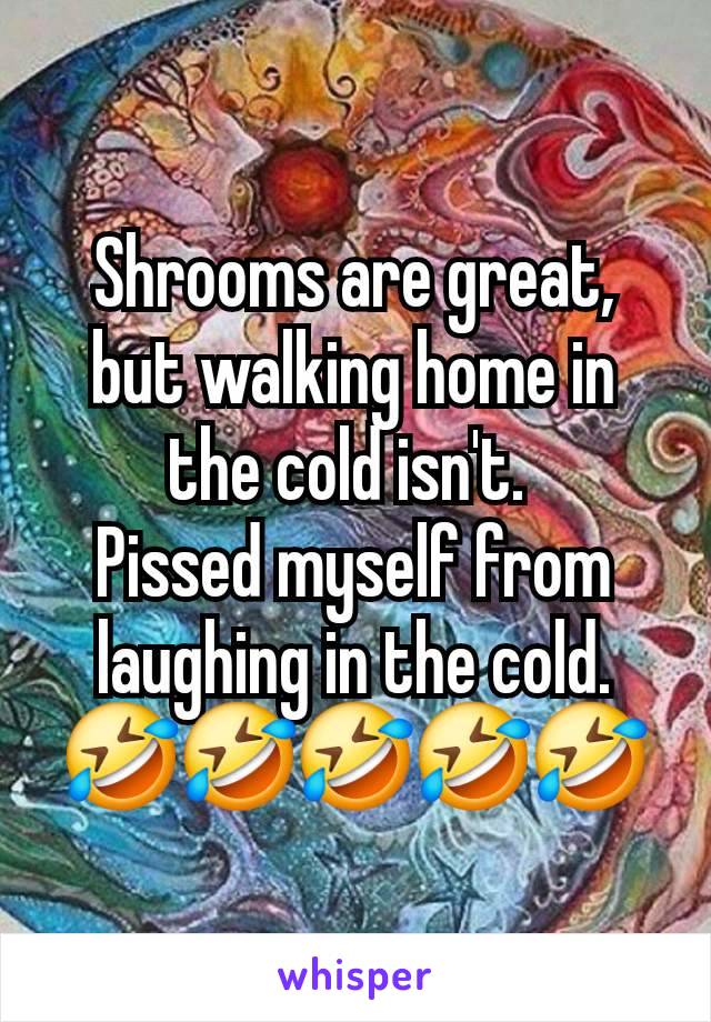 Shrooms are great, but walking home in the cold isn't. 
Pissed myself from laughing in the cold. 🤣🤣🤣🤣🤣