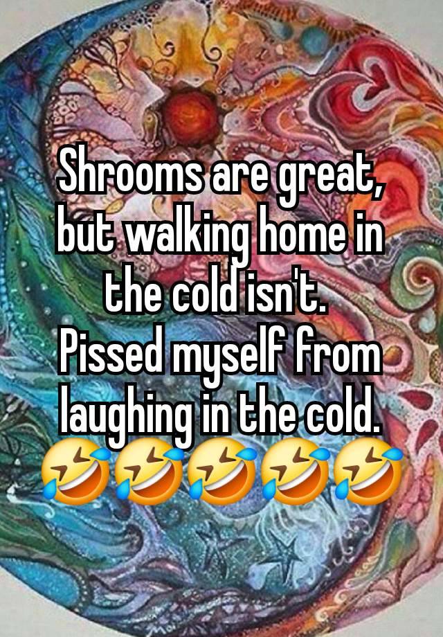 Shrooms are great, but walking home in the cold isn't. 
Pissed myself from laughing in the cold. 🤣🤣🤣🤣🤣