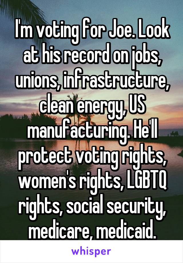 I'm voting for Joe. Look at his record on jobs, unions, infrastructure, clean energy, US manufacturing. He'll protect voting rights, women's rights, LGBTQ rights, social security, medicare, medicaid.