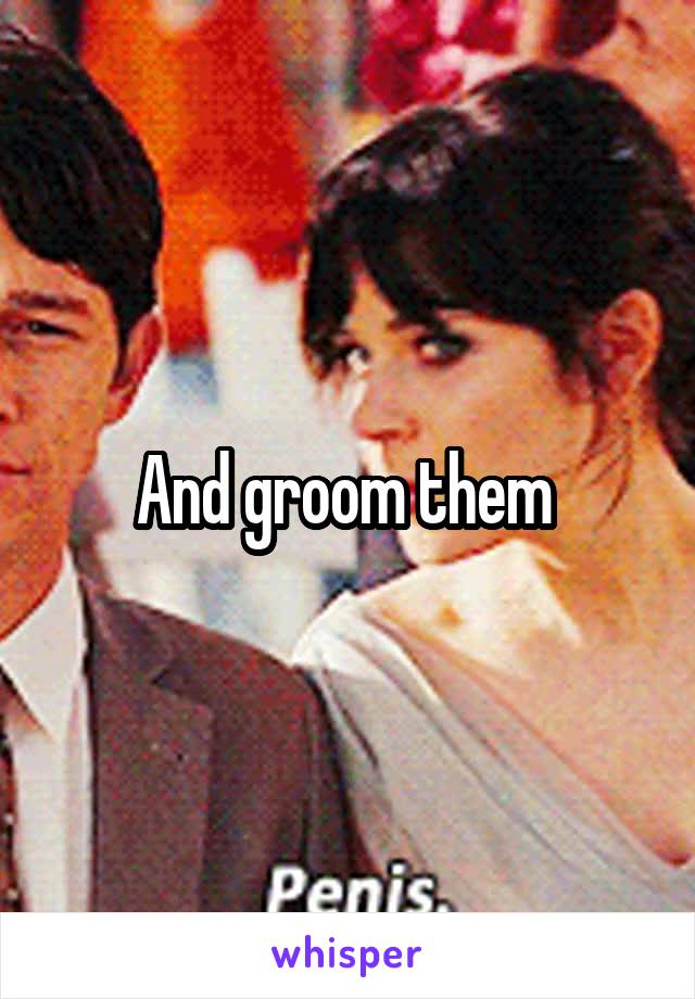 And groom them 