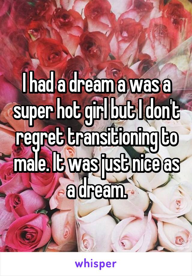 I had a dream a was a super hot girl but I don't regret transitioning to male. It was just nice as a dream.