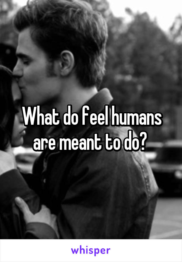 What do feel humans are meant to do? 