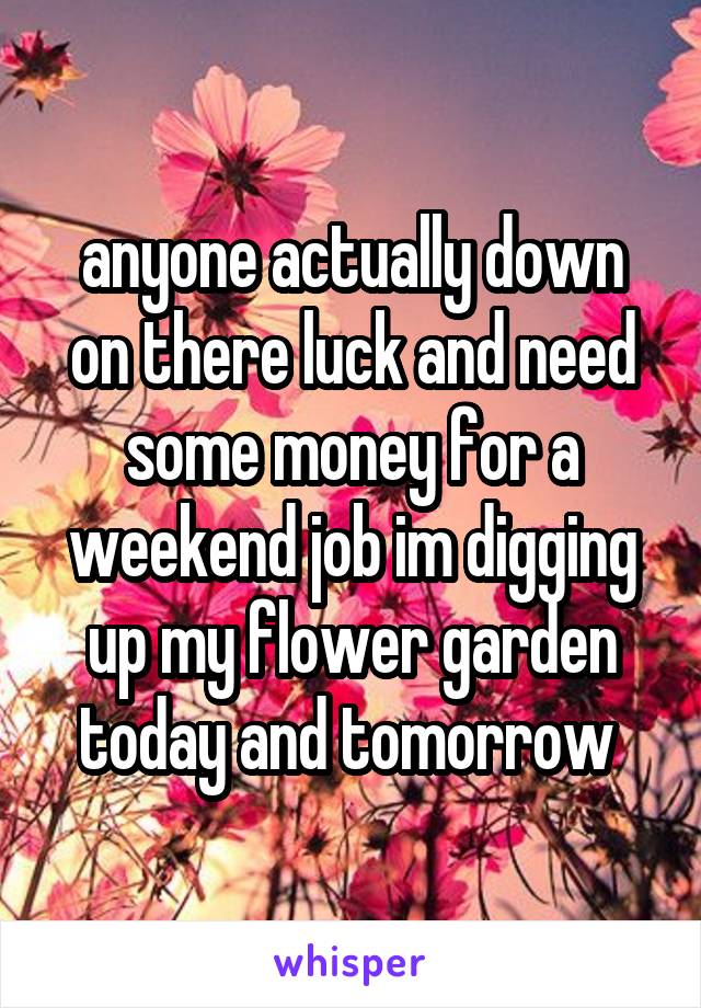 anyone actually down on there luck and need some money for a weekend job im digging up my flower garden today and tomorrow 