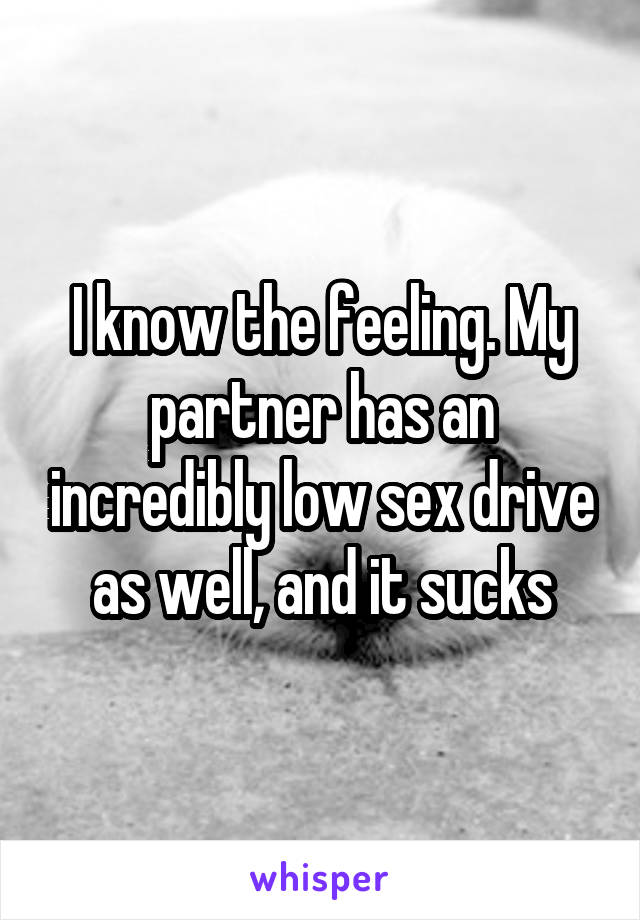 I know the feeling. My partner has an incredibly low sex drive as well, and it sucks