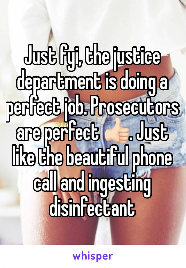 Just fyi, the justice department is doing a perfect job. Prosecutors are perfect 👍🏻. Just like the beautiful phone call and ingesting disinfectant 