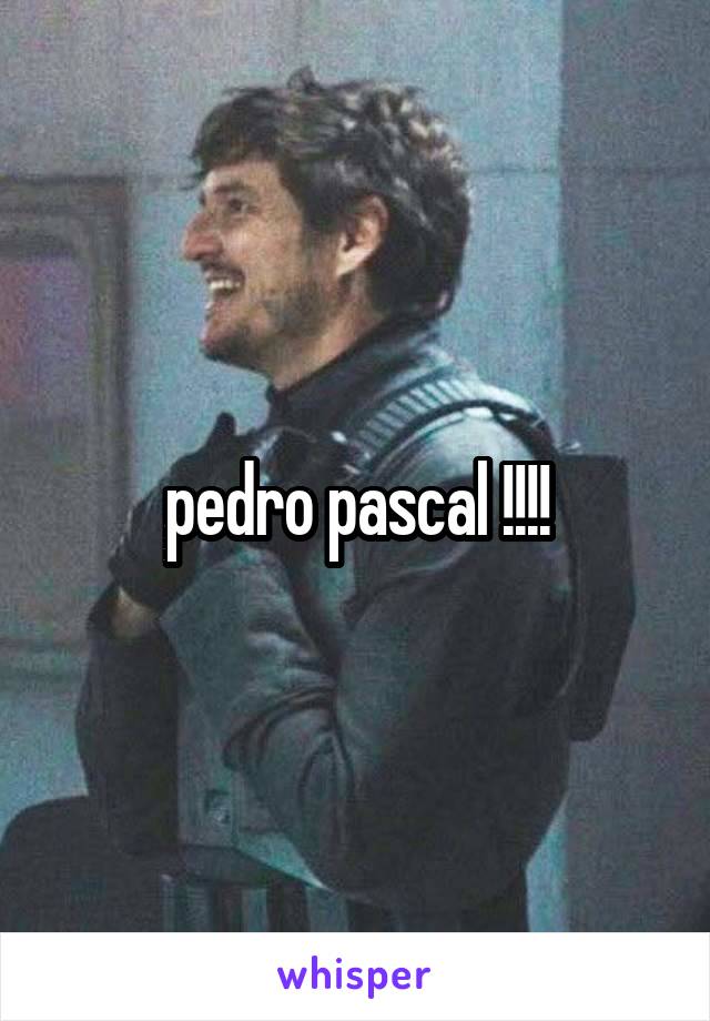 pedro pascal !!!!