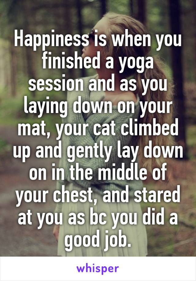 Happiness is when you finished a yoga session and as you laying down on your mat, your cat climbed up and gently lay down on in the middle of your chest, and stared at you as bc you did a good job.