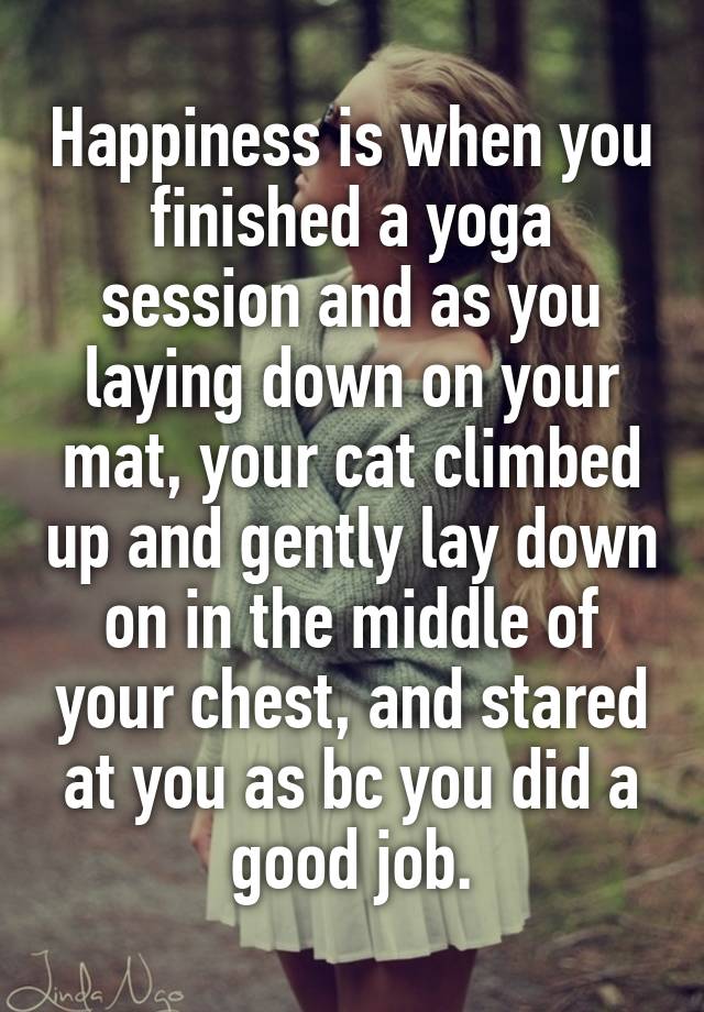 Happiness is when you finished a yoga session and as you laying down on your mat, your cat climbed up and gently lay down on in the middle of your chest, and stared at you as bc you did a good job.