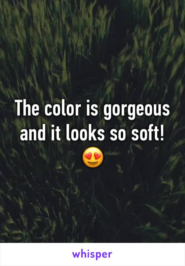 The color is gorgeous and it looks so soft!  😍