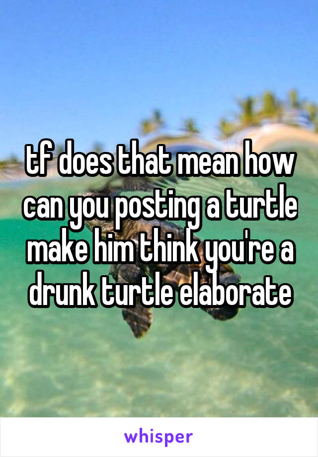 tf does that mean how can you posting a turtle make him think you're a drunk turtle elaborate