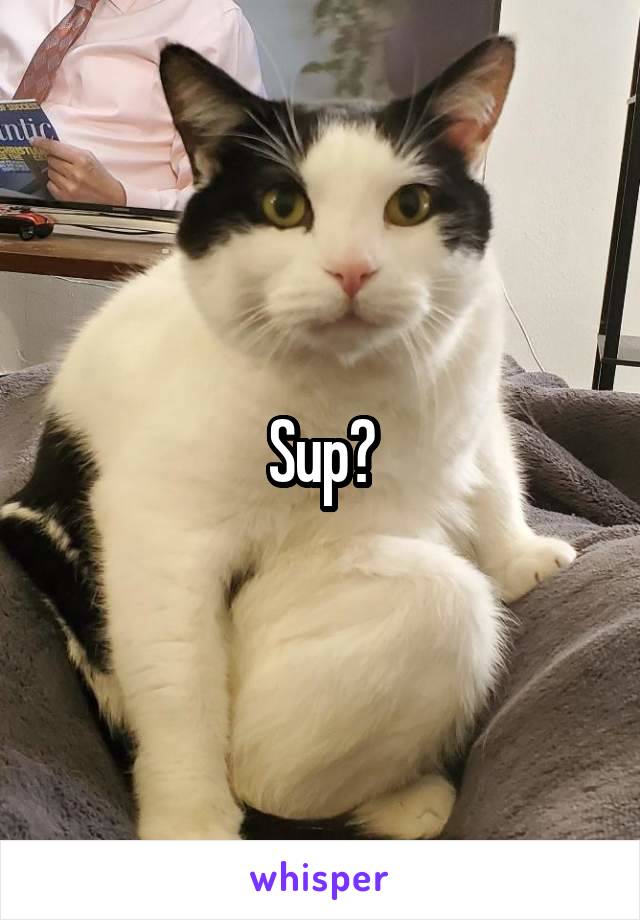 Sup?