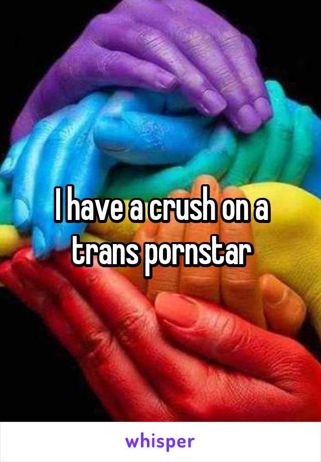 I have a crush on a trans pornstar