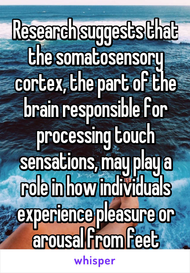 Research suggests that the somatosensory cortex, the part of the brain responsible for processing touch sensations, may play a role in how individuals experience pleasure or arousal from feet