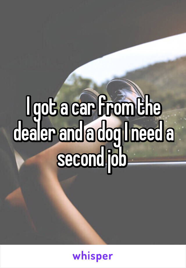 I got a car from the dealer and a dog I need a second job 