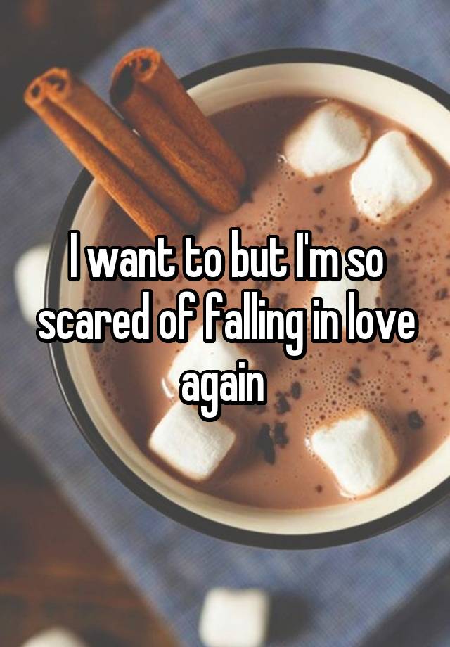 I want to but I'm so scared of falling in love again 