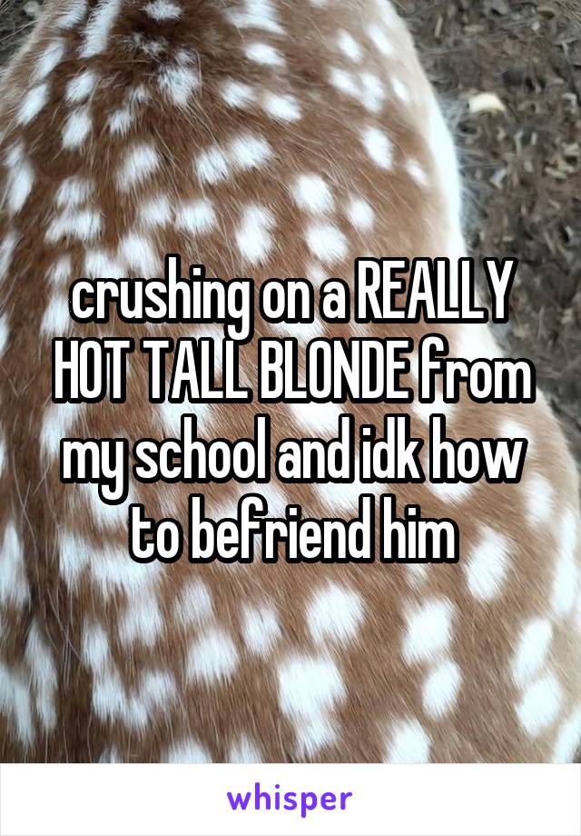 crushing on a REALLY HOT TALL BLONDE from my school and idk how to befriend him