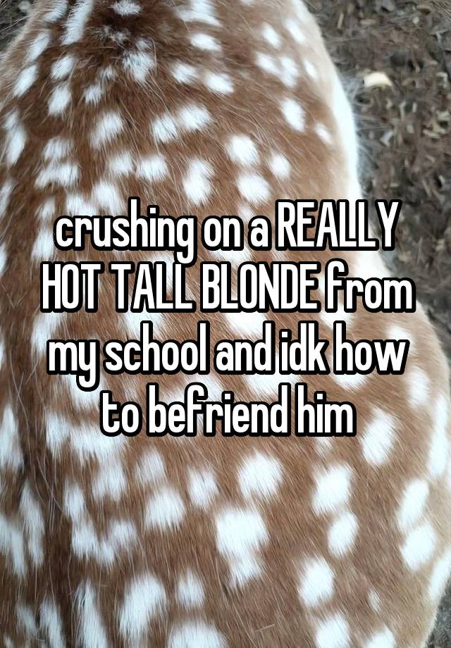 crushing on a REALLY HOT TALL BLONDE from my school and idk how to befriend him