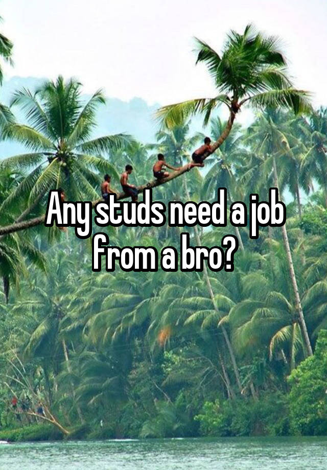 Any studs need a job from a bro?