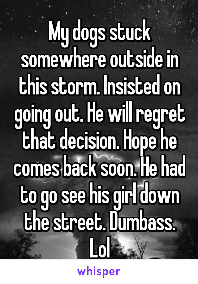 My dogs stuck somewhere outside in this storm. Insisted on going out. He will regret that decision. Hope he comes back soon. He had to go see his girl down the street. Dumbass. Lol