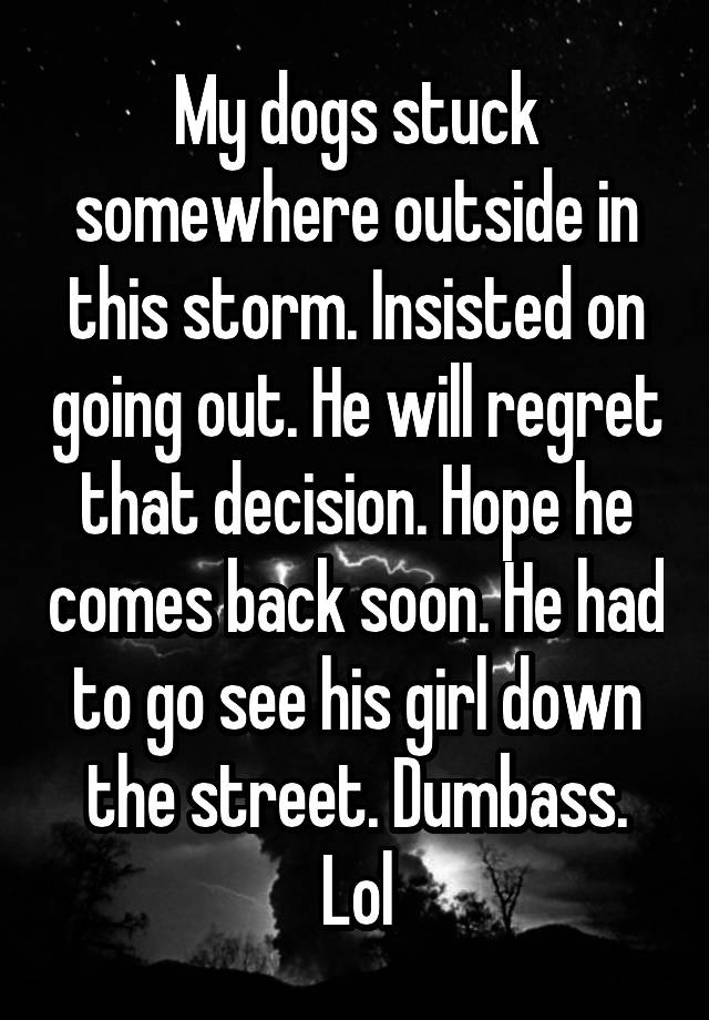 My dogs stuck somewhere outside in this storm. Insisted on going out. He will regret that decision. Hope he comes back soon. He had to go see his girl down the street. Dumbass. Lol