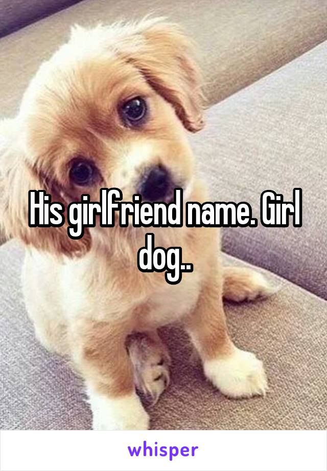 His girlfriend name. Girl dog..