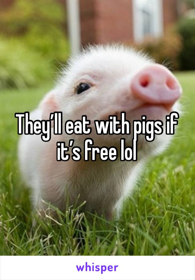 They’ll eat with pigs if it’s free lol