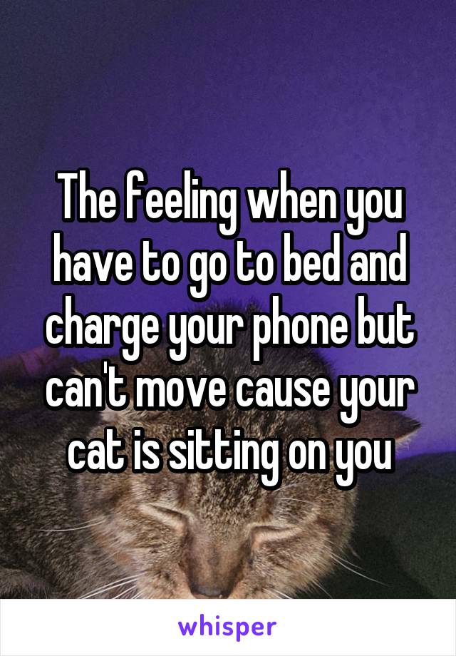 The feeling when you have to go to bed and charge your phone but can't move cause your cat is sitting on you