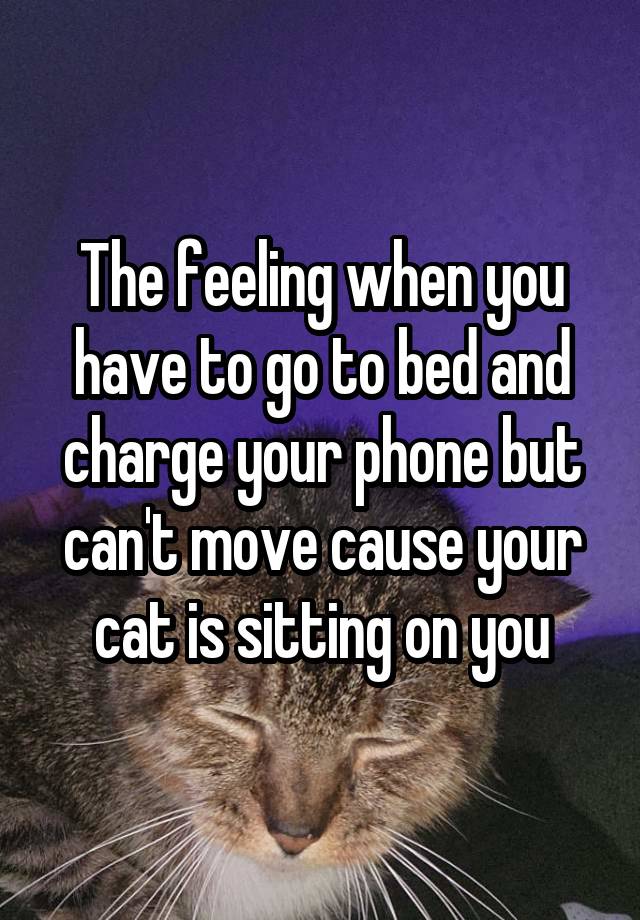 The feeling when you have to go to bed and charge your phone but can't move cause your cat is sitting on you