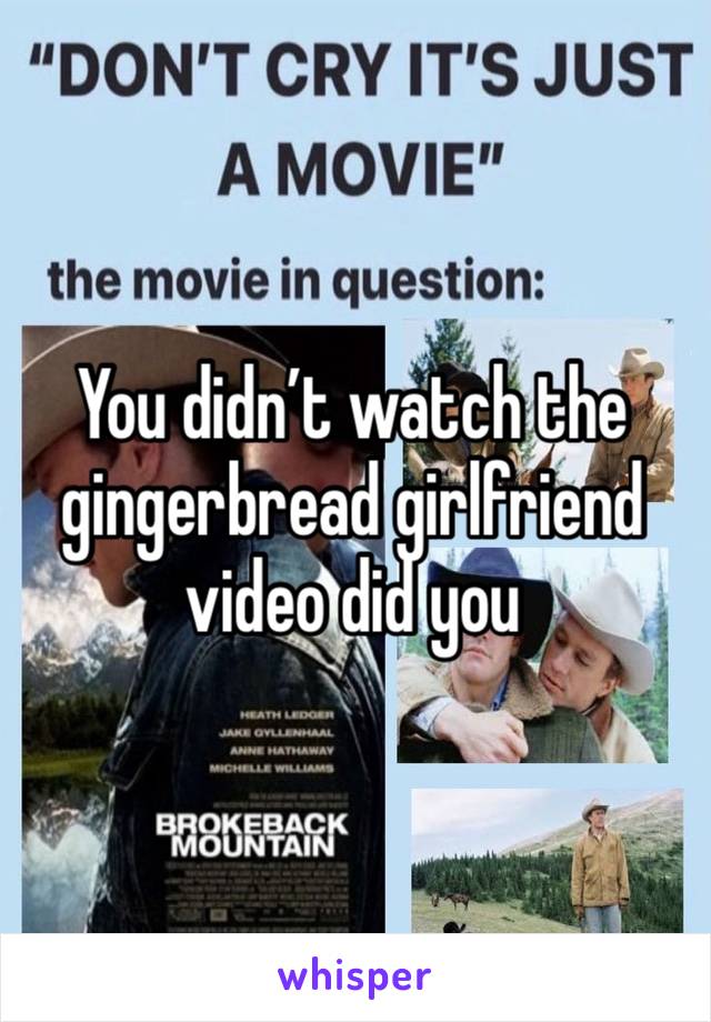 You didn’t watch the gingerbread girlfriend video did you 