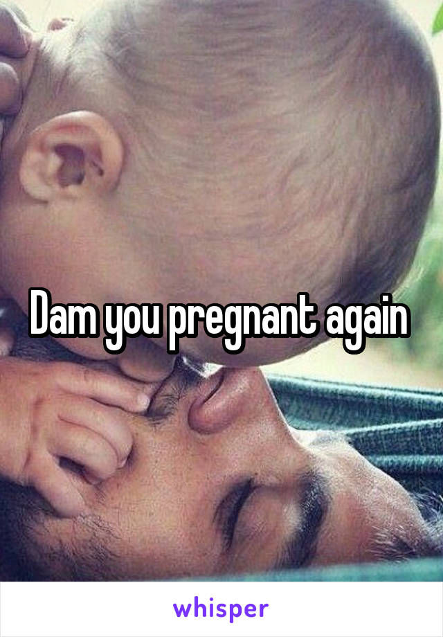 Dam you pregnant again 