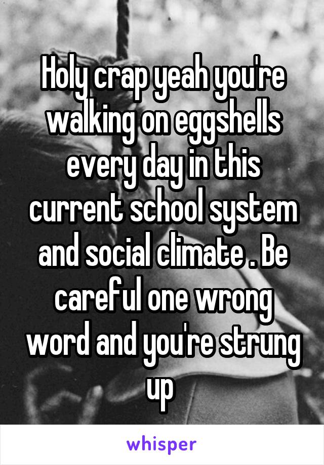 Holy crap yeah you're walking on eggshells every day in this current school system and social climate . Be careful one wrong word and you're strung up 