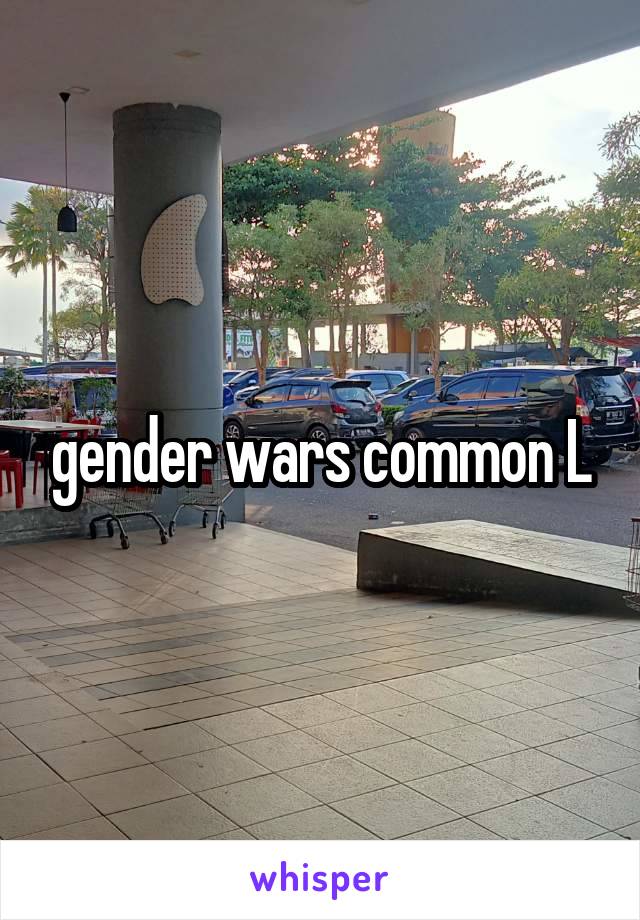 gender wars common L