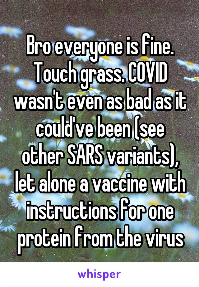 Bro everyone is fine. Touch grass. COVID wasn't even as bad as it could've been (see other SARS variants), let alone a vaccine with instructions for one protein from the virus