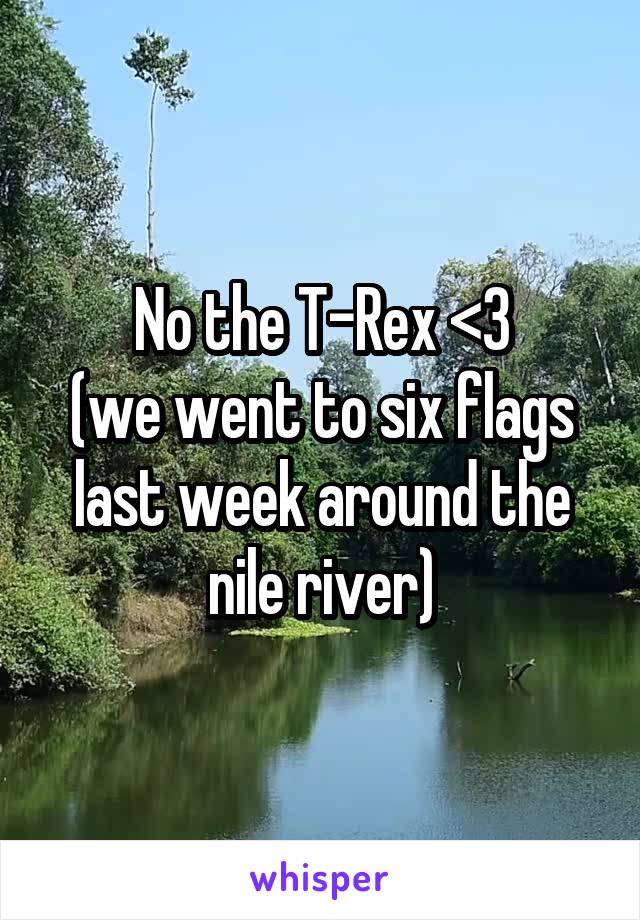 No the T-Rex <3
(we went to six flags last week around the nile river)