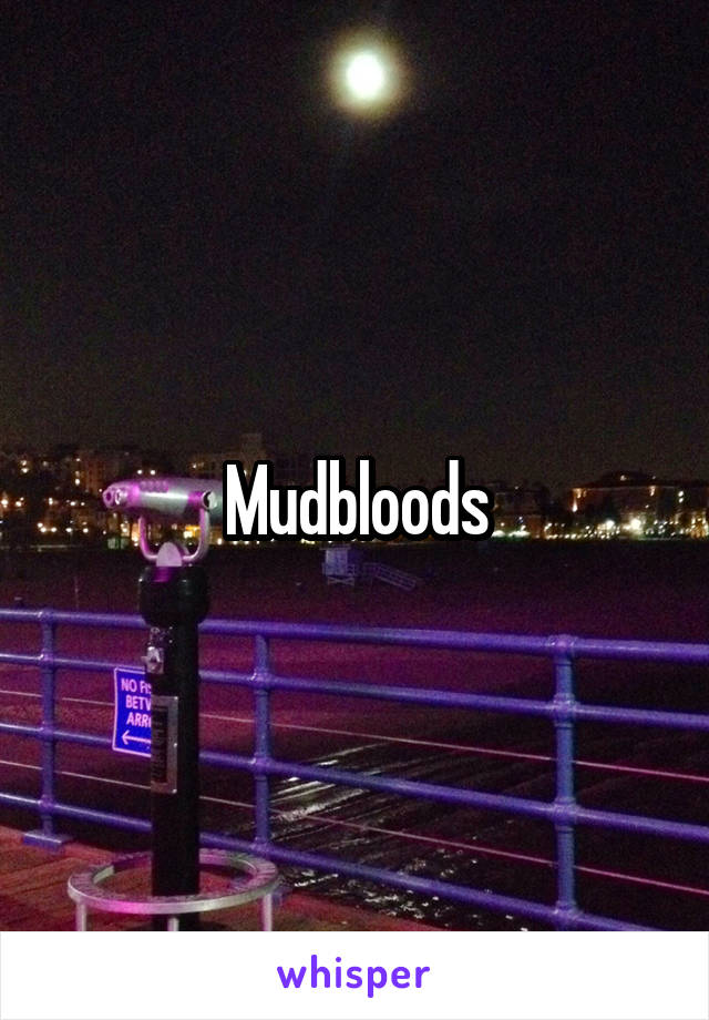 Mudbloods