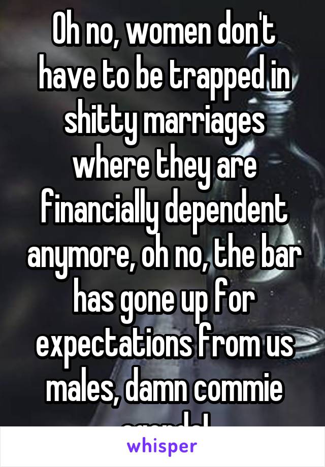 Oh no, women don't have to be trapped in shitty marriages where they are financially dependent anymore, oh no, the bar has gone up for expectations from us males, damn commie agenda!