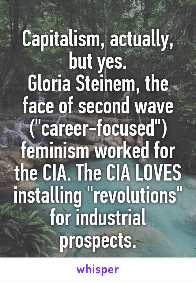 Capitalism, actually, but yes.
Gloria Steinem, the face of second wave ("career-focused") feminism worked for the CIA. The CIA LOVES installing "revolutions" for industrial prospects.