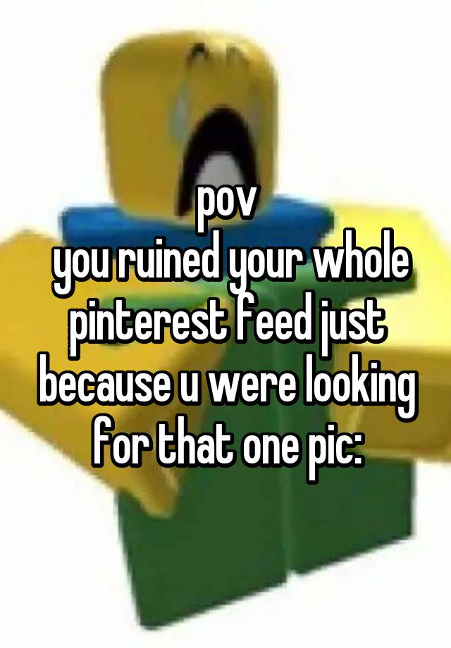 pov
 you ruined your whole pinterest feed just because u were looking for that one pic: