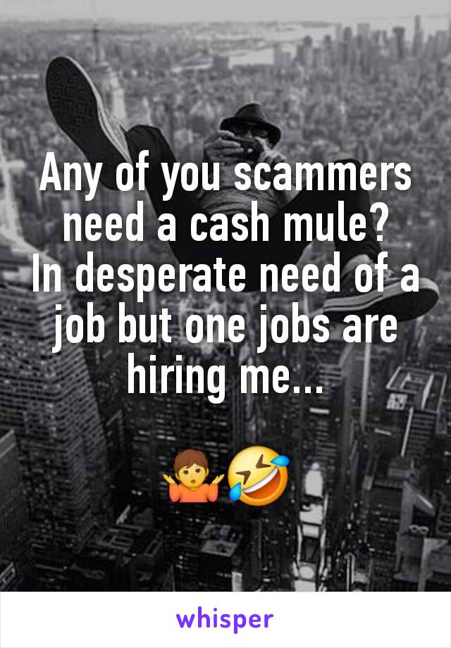 Any of you scammers need a cash mule?
In desperate need of a job but one jobs are hiring me...

🤷🤣