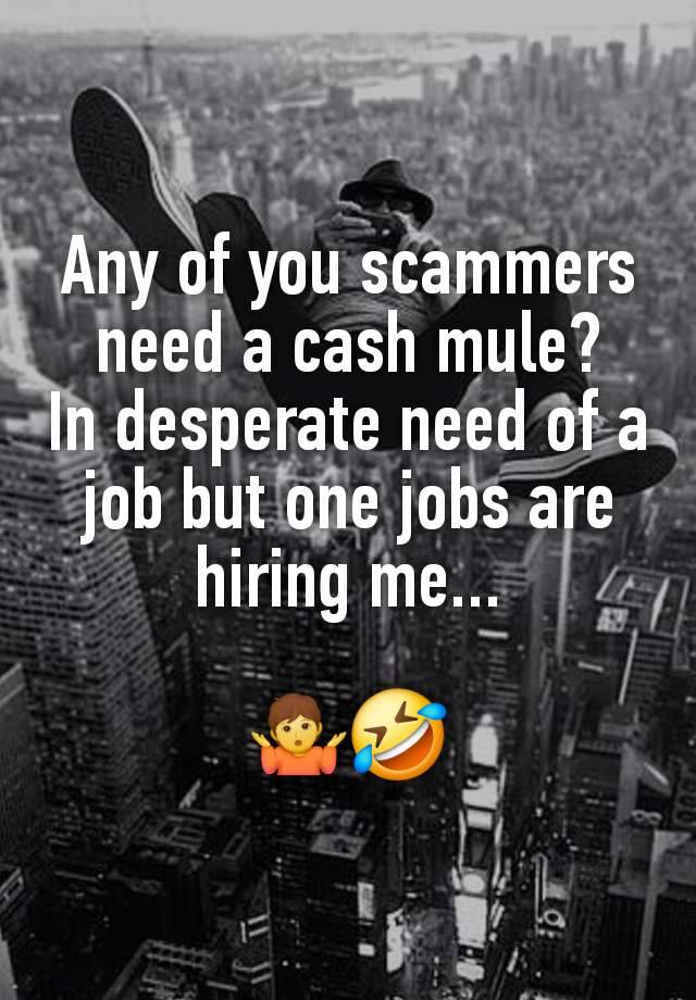 Any of you scammers need a cash mule?
In desperate need of a job but one jobs are hiring me...

🤷🤣