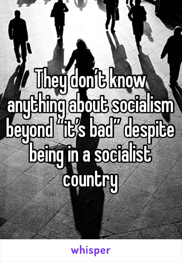 They don’t know anything about socialism beyond “it’s bad” despite being in a socialist country 