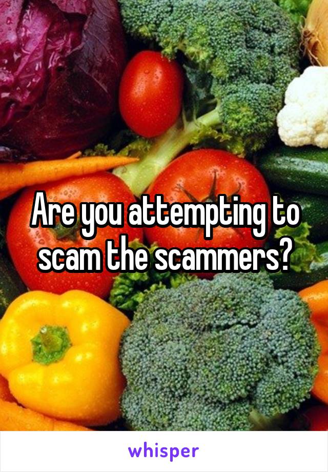 Are you attempting to scam the scammers?