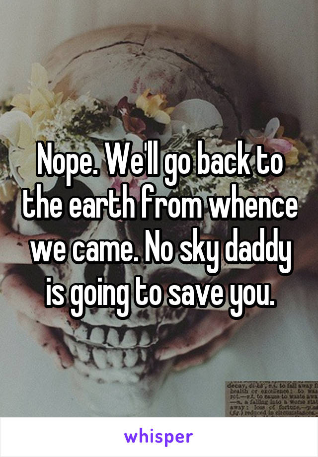 Nope. We'll go back to the earth from whence we came. No sky daddy is going to save you.