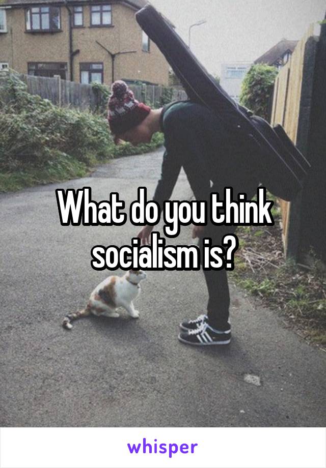 What do you think socialism is?