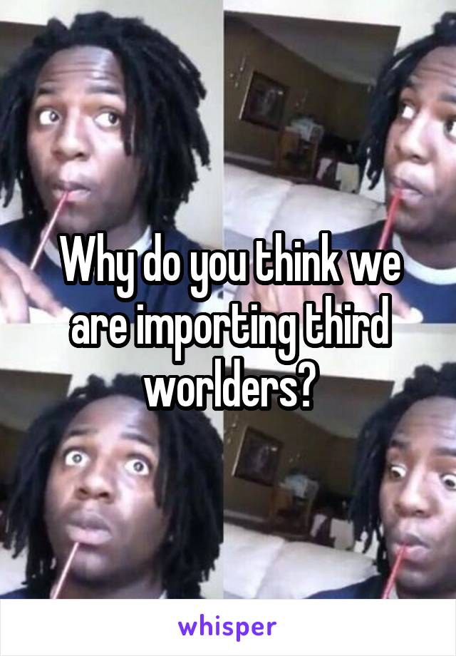 Why do you think we are importing third worlders?