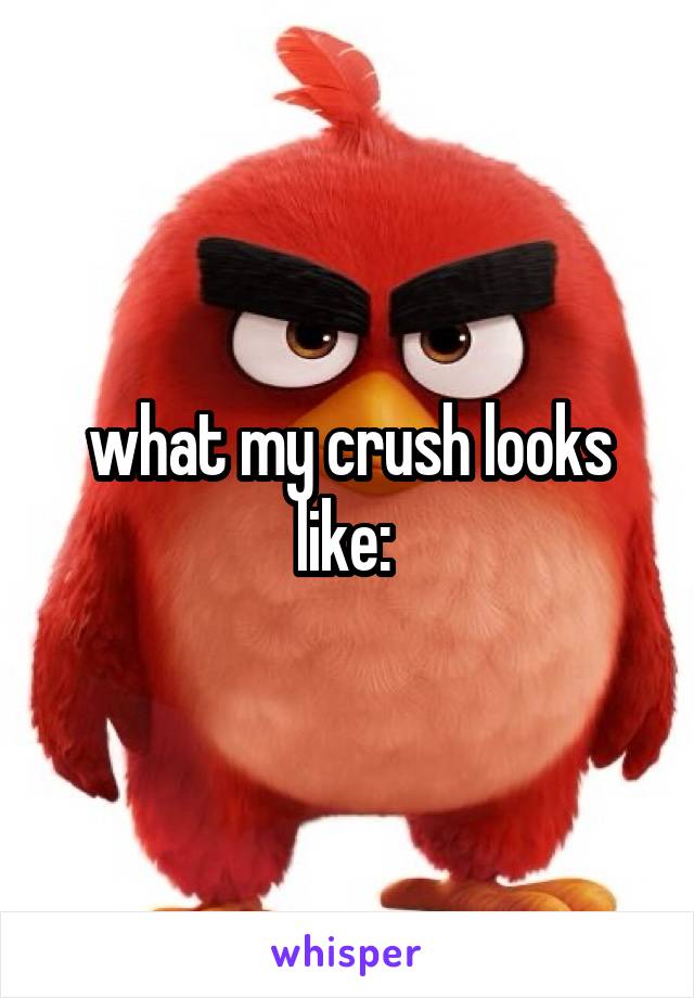 what my crush looks like: 