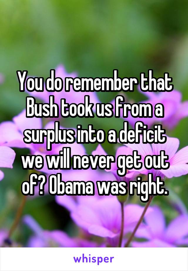 You do remember that Bush took us from a surplus into a deficit we will never get out of? Obama was right.