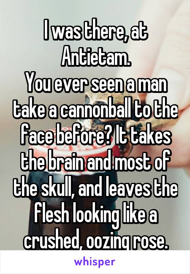 I was there, at Antietam.
You ever seen a man take a cannonball to the face before? It takes the brain and most of the skull, and leaves the flesh looking like a crushed, oozing rose.